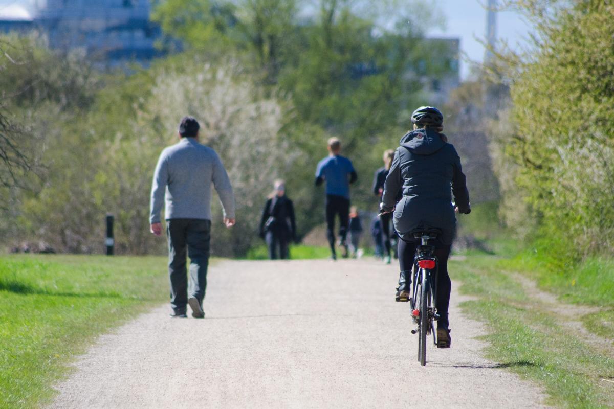 Weg in einem Park, auf dem man eine Radfahrerin und ein Fußgänger von hinten sieht