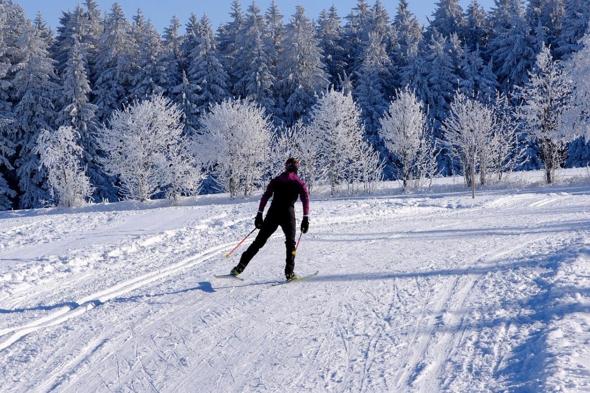 Langläufer auf sonniger Loipe mit schneebedeckten Bäumen